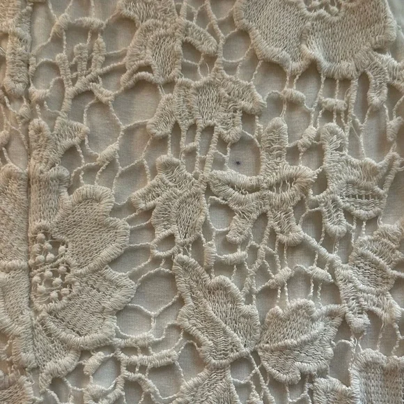 Velvet by Graham & Spencer Cream Lace Dress W Size Small bachelorette Wedding - Picture 6 of 8